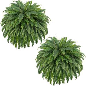 FOREST PRINCE 50" Fake Ferns Bush Plants with 96 Frond, 2 Faux Ferns for Outdoors Planter Large Garden Porch Entrance Balcony Windowsill Home Decor