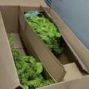 Mini Small Christmas Tree, 2ft Artificial Small Tabletop Christmas Tree with Ball Ornaments, Tree Skirt, DIY Xmas Trees Decor