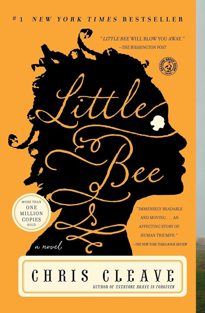 Little Bee: A Novel (Paperback)