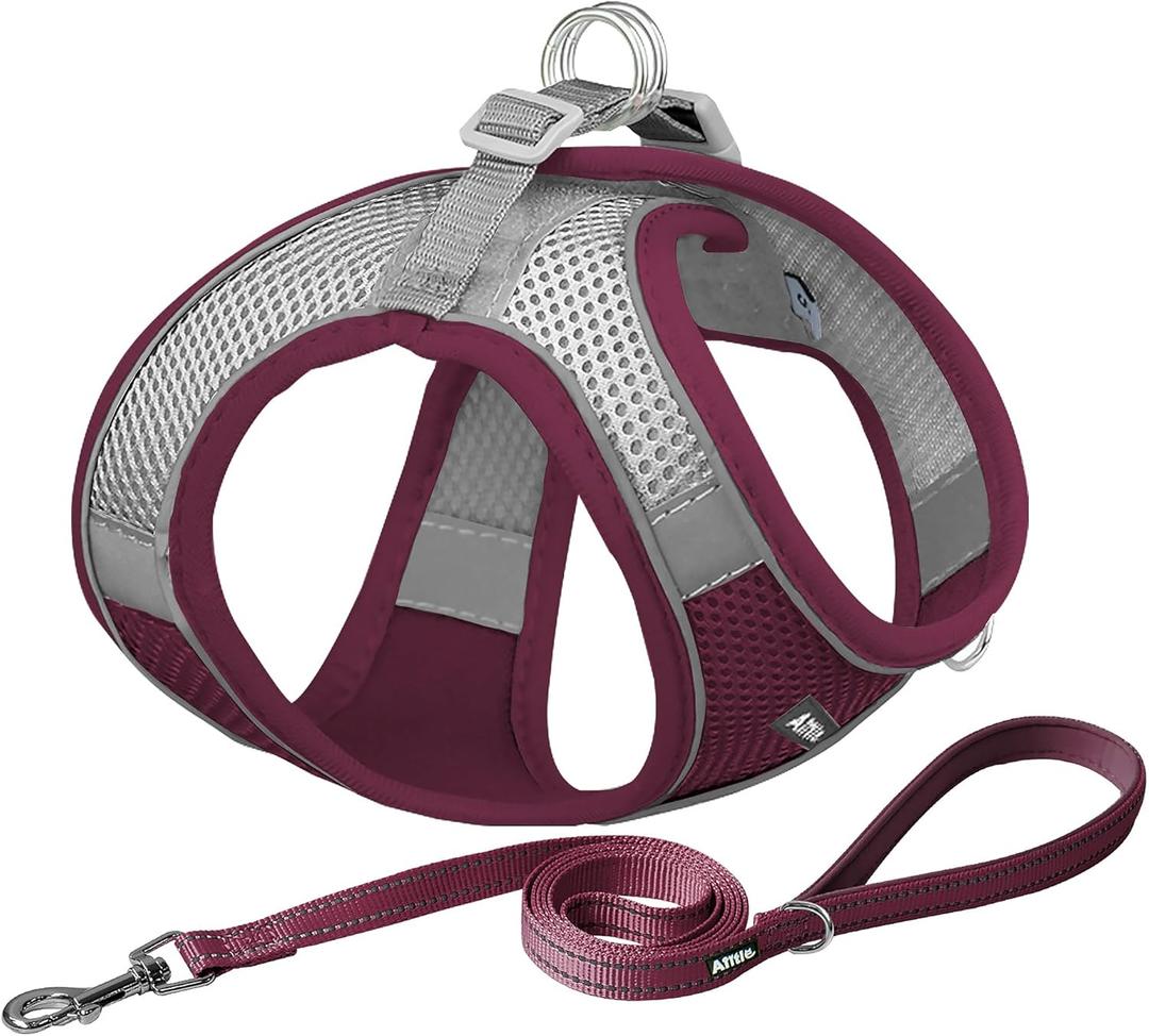 AIITLE Dog Harness, Christmas No-Pull Cat Harness with a Leash, Adjustable Reflective Puppy Vest Harness Escape Proof, Outdoor Walking, Running for Extra Small Dogs and House Cats Burgundy XXXS (XXXS(Chest: 8.5 - 10"))