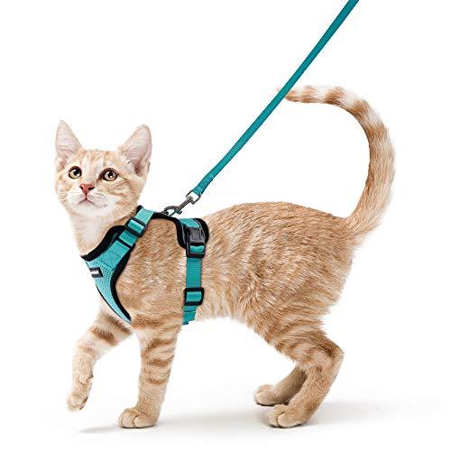 Kazylab Cat Harness and Leash for Walking, Escape Proof Soft Adjustable Vest Harnesses for Cats, Easy Control Breathable Reflective Strips Jacket, Emerald, Medium