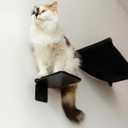 Cat Shelf for Wall Furniture Cat Step Black