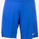 Nike League II Knit Shorts Youth Unisex (Blue, L)