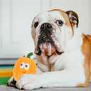 POPETPOP 2 Pcs Pumpkin Squeaky Latex Dog Toys 4.7 Inch Realistic Voice Toy Pumpkins for Puppy Teething and Interactive Pet Play