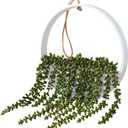 Floweroyal Artificial Succulents Hanging Plants 20.1'' Fake String of Pearls in Pot with 9.4'' Lanyard for Indoor Outdoor Wall Decor (Large).