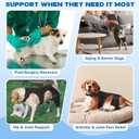 Dog Knee Brace for Torn ACL Hind Leg, Dog Leg Braces for Back Leg Support with 4 Metal Stabilizers Helps with Torn CCL, Luxating Patella, Ligament Injuries, Hip Dysplasia,M