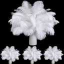 TaoBary White 60 Pcs Natural Ostrich Feathers Plumes for Valentine's Day Wedding Birthday Party White Centerpieces 12-14, 10-12, 8-10 Inches Vase Feathers Flower Arrangement Decors DIY Crafts