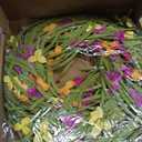 Farmhouse Spring&Summer Wreath for Front Door, 22 Inch Rustic Floral Wreath with Yellow and Pink Fabric Flowers, Grapevine Base & Paper Leaves, Indoor Hanging Decor for Easter, Porch, Wall