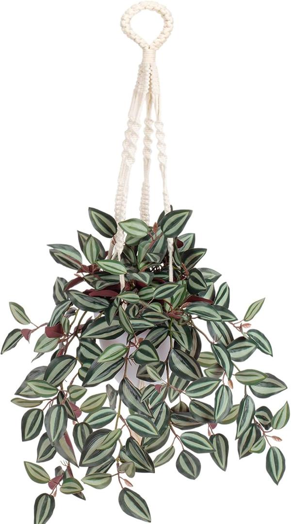 Fake Hanging Plants with Pot, 17" Green Red Artificial Eye Leaves Potted Plant Faux Peperomia Vine Basket Plant for Wall Bedroom Office Indoor Outdoor Home Decor