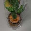 Emoin Talking Cactus Toy, Interactive Toys Dancing Cactus Toy Mimicking Repeating What You Say, Toddler Infant Baby Toys Gifts for 6 7 8 9 10 Month Old Baby Toys for 1 2 3 Year Old Boy Girl