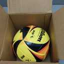 WILSON AVP Game Volleyballs, Standard
