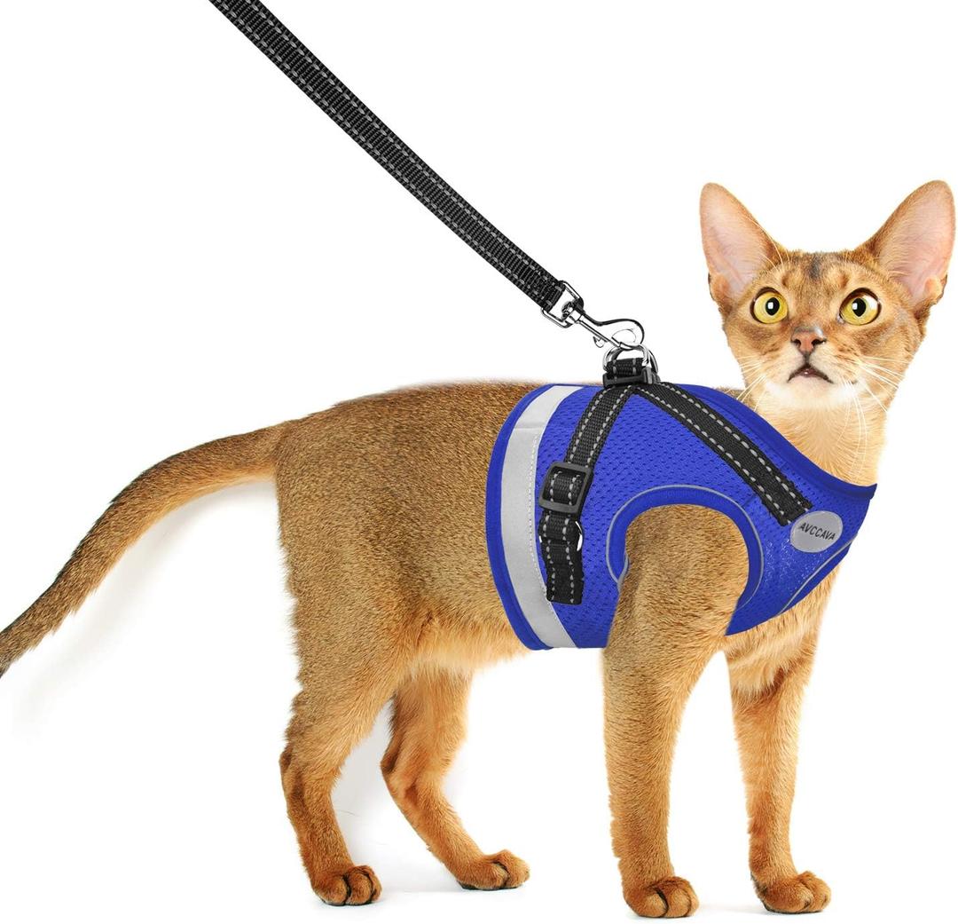 Cat Harness and Leash for Walking, Kitten Escape Proof Harnesses, Adjustable Reflective Puppy Harness with Leashes Set, Easy Adjustable Soft net Breathable Pet Safety Vest (S (Chest: 9" - 11"), Blue)
