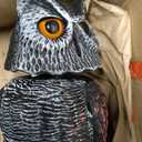 Hedoc 2 Pack Fake Owl Decoys to Scare Birds Away, Rotating Head Bird Deterrents, Nature Enemy Scarecrow Plastic Statues, Pest Repellent for Gardens and Patios
