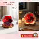 Preserved Flower Red Rose in Glass, Eternal Roses Gifts for Women, Mom, Girlfriend, Wife, Her on Christmas, Valentine's Day, Mother's Day, Birthday, Anniversary