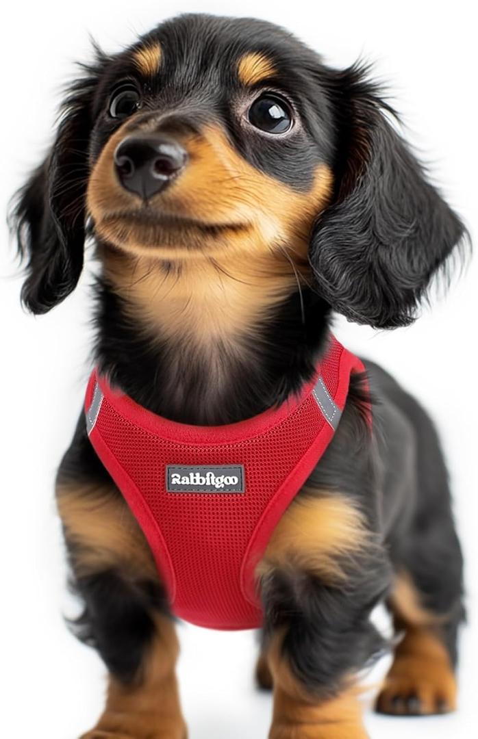 rabbitgoo Small Dog Harness, Step-in Soft Mesh Puppy Vest with Safety Buckle, Breathable Reflective Pet Harness for Extra Small Dogs, Red, XXS (Chest: 12.4"-14.2")