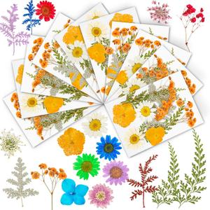 TIANLDD 100 Pieces (10 Packs) Real Pressed Dried Flowers for Resin Molds, Dry Flowers for Crafts. Suitable for Resin,Scrapbooking,Crafts,Face Decorations,etc. (Orange)