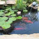 UWIOFF Pond Liner 20 x 25ft 20 mil Pond Liners for Outdoor Ponds, UV Resistant Pond HDPE Liner for Fish Ponds, Pool, Water Features, Fountains, Waterfall and Water Gardens, Black