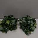 Dolicer 2 Packs 6FT Artificial Eucalyptus Garland, Faux Greenery Garland Hanging Fake Silver Dollar Eucalyptus Leaves Vines for Wedding Backdrop Arch Table Wall Party Home Decor