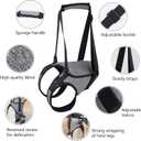 Dotoner Dog Sling for Large Dogs Hind Leg Support to Help Rehabilitate the Hind Limbs of Elderly Dogs with Weak Hind Legs Disabilities and Injuries Dog Harness Helps Arthritis ACL RecoveryXL,Grey