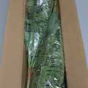 Fake Ferns - Set of 2 Faux Boston Ferns Large Artificial Plants, 40 Leaves per Bouquet, 35 Inches Large Artificial Ferns for Outdoors/Indoor Home, Office, Garden Decoration