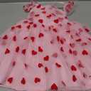 Girls Birthday Party Dress Butterfly Daisy Polka Dots Embroidery Princess Tulle Wedding Pageant Evening Gown (3-4T, Pink-red Heart)