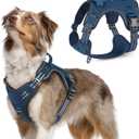 rabbitgoo Tactical Dog Harness Medium Sized Dog, No Pull Military Service Vest with Handle & Molle, Easy Control for Training Walking, Adjustable Reflective Straps, Blue, M