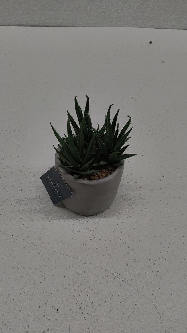 Bambeco Tabletop Decoration Plant