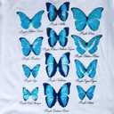 Hanes Women's Short Sleeve V-Neck Graphic T-Shirt (White, S)