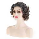 Short Brown Curly Wigs for Women Synthetic Mixed Grey Big Curly Bob Wig Modern Cosplay Hair
