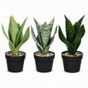 Artificial Snake Plant Set of 3 Small Faux Snake Plants in Pots Fake Potted Plants for Indoor Home Decor Desk, Shelf, TV Stand, Cabinet, Bathroom Office 9.8 inch