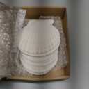 30PCS Natural Scallop Shells White Sea Shells for Decorating from Sea Beach Real Seashells for DIY Craft Painting Ocean Themed Party Wedding 2''-3''