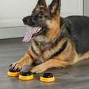 2 x Hunger for Words Talking Pet Next Words: Names