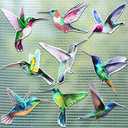 Set of 6 Hummingbird Screen Door Magnets Double Sided Screen Door Magnets Stickers Decorative Window Decorations Hummingbird Magnetic Decals for Window Patio Sliding Doors Protector