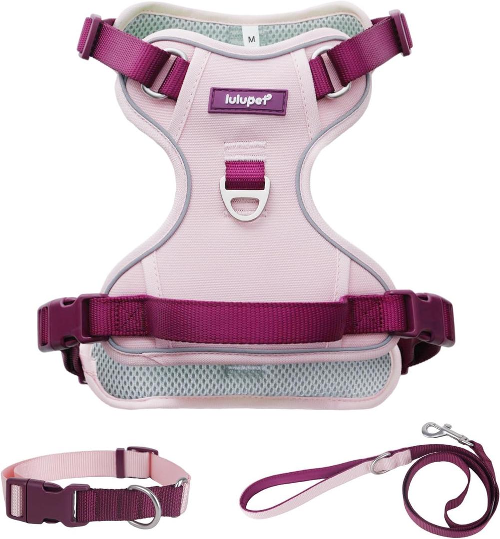 No Pull Dog Harness Leash and Collar Set, Soft Adjustable Dogs Vest Reflective and Comfortable Handle Pink, Size: Large