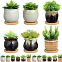 Remerry 12 Pcs Small Succulent Pots Bulk with Drainage Assorted 3.5 Inch Mini Ceramic Succulent Planters Pot with Coaster Bamboo Plant Tray Planting Pots for Home Office Garden
