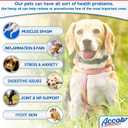 Accob-2 Hemp Oil for Dogs and Cats - 200.000 MG - Hip Joint Pain, Stress Relief, Arthritis,Seizures, Chronic Pains,Anti-Inflammatory - Omega 3,6 & 9 - Organic- Calming Drops