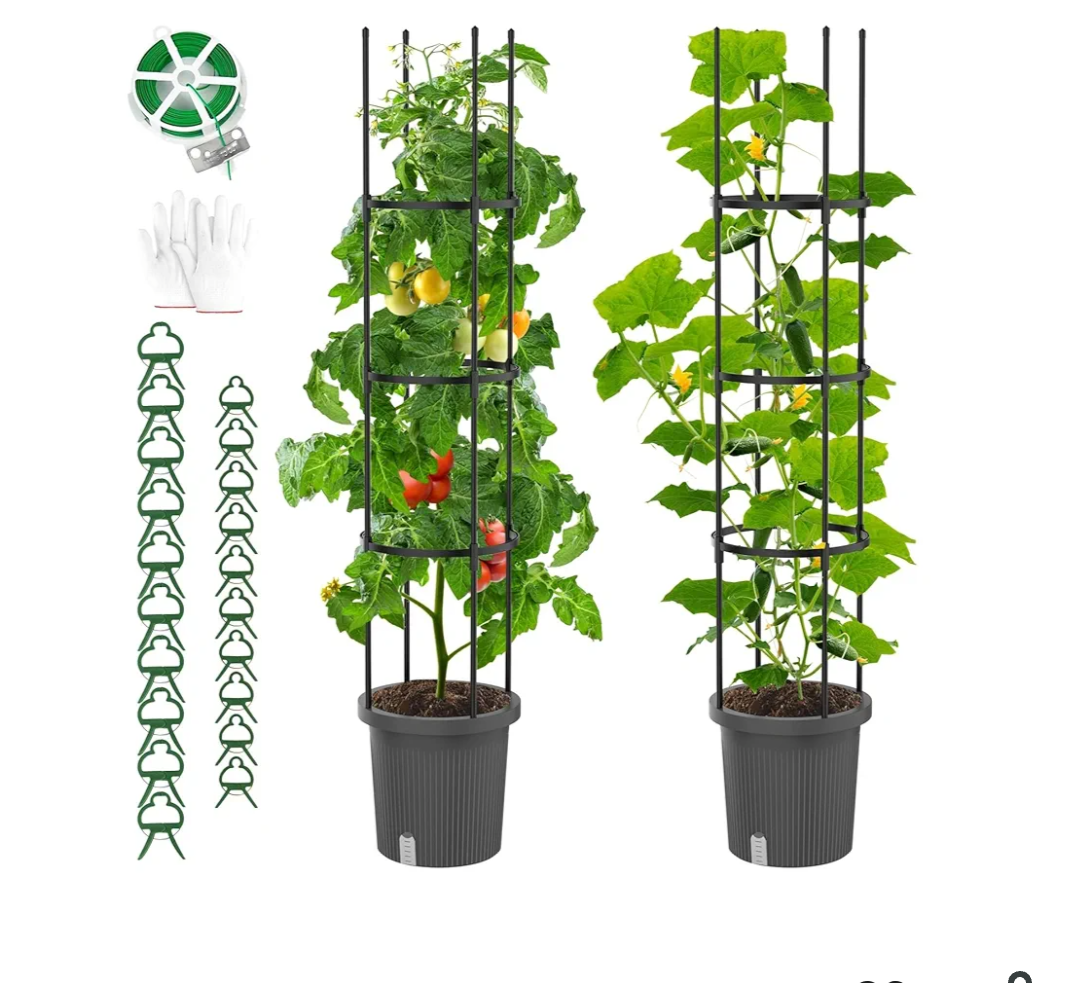 2 Pack Raised Garden Bed Tomato Planter with Trellis, Self Watering Planter Box with Trellis for Climbing Plants Outdoor, PE Coated Metal Tomato Cage Plant Support for Flowers Vegetable Indoor