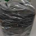 BrizLabs Color Changing Christmas Lights, 262ft 800 LED Smart Christmas String Lights Work with Alexa & Google Home, Warm White & Multicolor WiFi Xmas Tree Light Music Sync for Xmas Tree Home Decor