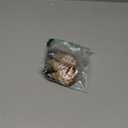 EXPAWLORER Anti Slip Dog Socks to Prevent Licking Paws, Dog Shoes for Hot Pavement, Dog Booties for Small Medium Large Senior Dogs, Traction Control Boots & Paw Protectors for Hardwood Floors (Khaki)