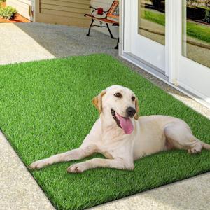 Artificial Grass Mat, Turf Grass Front Door Mats Outdoor/Indoor, Realistic Fake Grass Rug for Dog, Entrance, Patio, Camper, Home Decor, 36 x 47