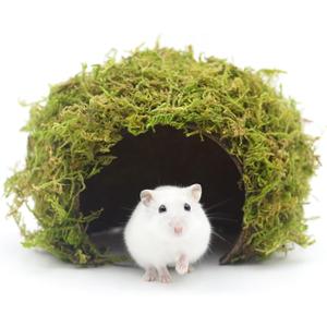 Hamster Hideout - Large, Natural Moss, Handcrafted for Syrian Hamsters, Rats & Guinea Pigs, Safe & Eco-Friendly