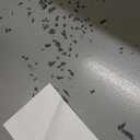 Pull Down Shelf for Kitchen Upper Cabinet, Heavy Duty Cabinet Organizer Large Storage Space, 26-28 Inch Width, White