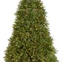 National Tree Company Pre-Lit Artificial Full Christmas Tree, Green, Dunhill Fir, White Lights, Includes Stand, 9 Feet