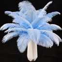 THARAHT Baby Blue Ostrich Feathers 24pcs Natural Bulk 10-12Inch 25cm-30cm for Crafts Wedding Party Centerpieces Easter Gatsbi and Home Decoration Feathers