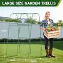 HIRALIY Cucumber Trellis for Climbing Plants Outdoor, 5.25ft Tall Heavy Duty Metal Garden Arch Trellis, Rustproof Plant Support Tunnel for Tomato, Grape, Bean, Raised Bed and Vegetable Gardens, Green, 66"l X 36"w X 63"h-tunnel Trellis (Pink, XL)