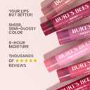Burt's Bees Lip Tint Balm, Mothers Day Gifts with Long Lasting 2 in 1 Duo Tinted Balm Formula, Color Infused with Deeply Hydrating Shea Butter for a Natural Buildable Finish, Petal Rose (2-Pack)