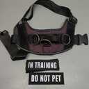 HOTGOL Custom No Pull Dog Harness with Personalize Name and Phone Number Tag,Reflective Breathable Adjustable Pet Vest for Small to Large Dogs
