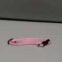 LupinePet Basics 1/2" Pink 10-16" Adjustable Collar for Small Dogs