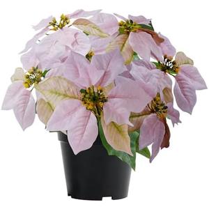 MELAJIA Artificial Pink Poinsettia Plant - 14Inch Faux Christmas Flowers for Indoor Outdoor Xmas Porch Garden Decorations