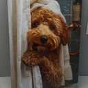 libitea 2 Pcs Funny Animal Bathroom Canvas Wall Art Cute Dog Reading Newspaper and Taking Bath on Toilet Art Print Humorous Bathroom Animal Painting Wall Decor for Dog Lovers Home Decoration, Size: 16"L x 12"W